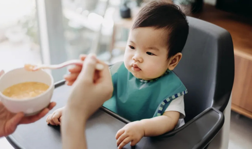 Complete Guide to Baby Food in India: From 6 Months to 1 Year